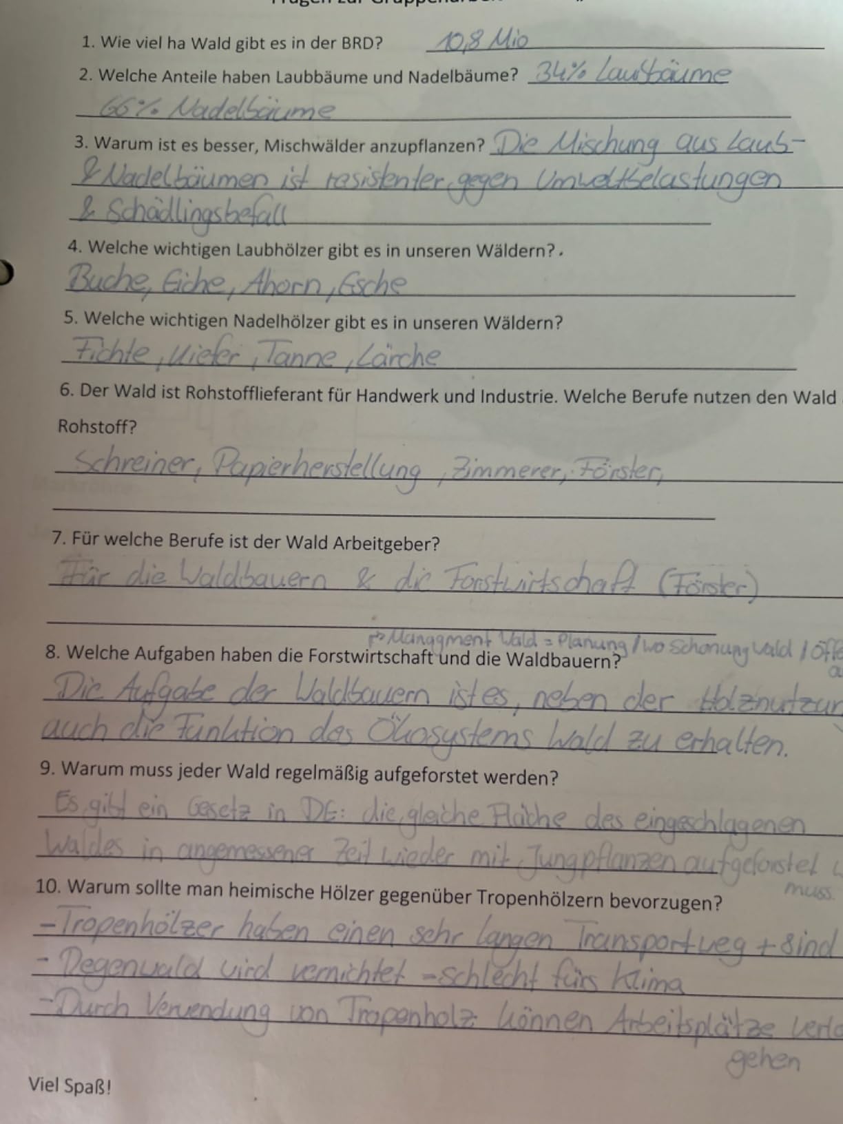 Nie wieder ohne