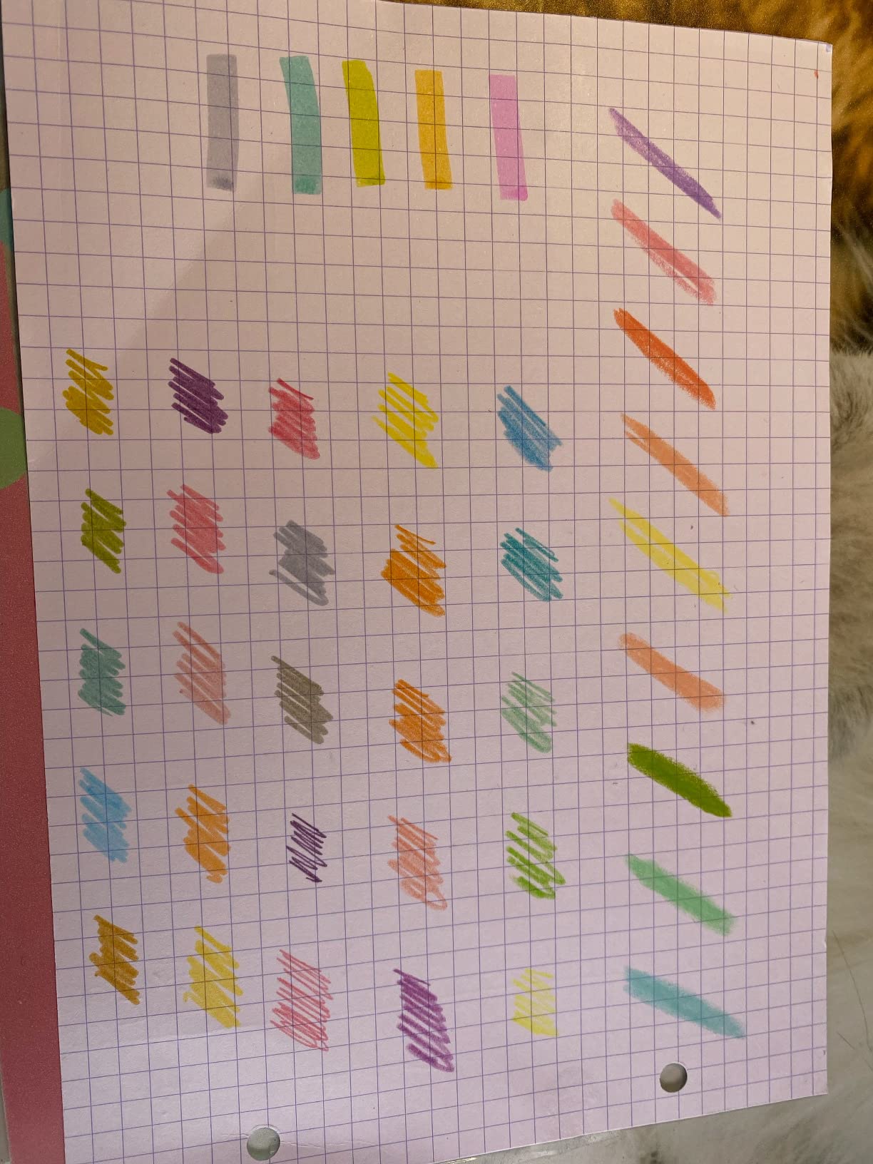 Kreativparadies in einer Box