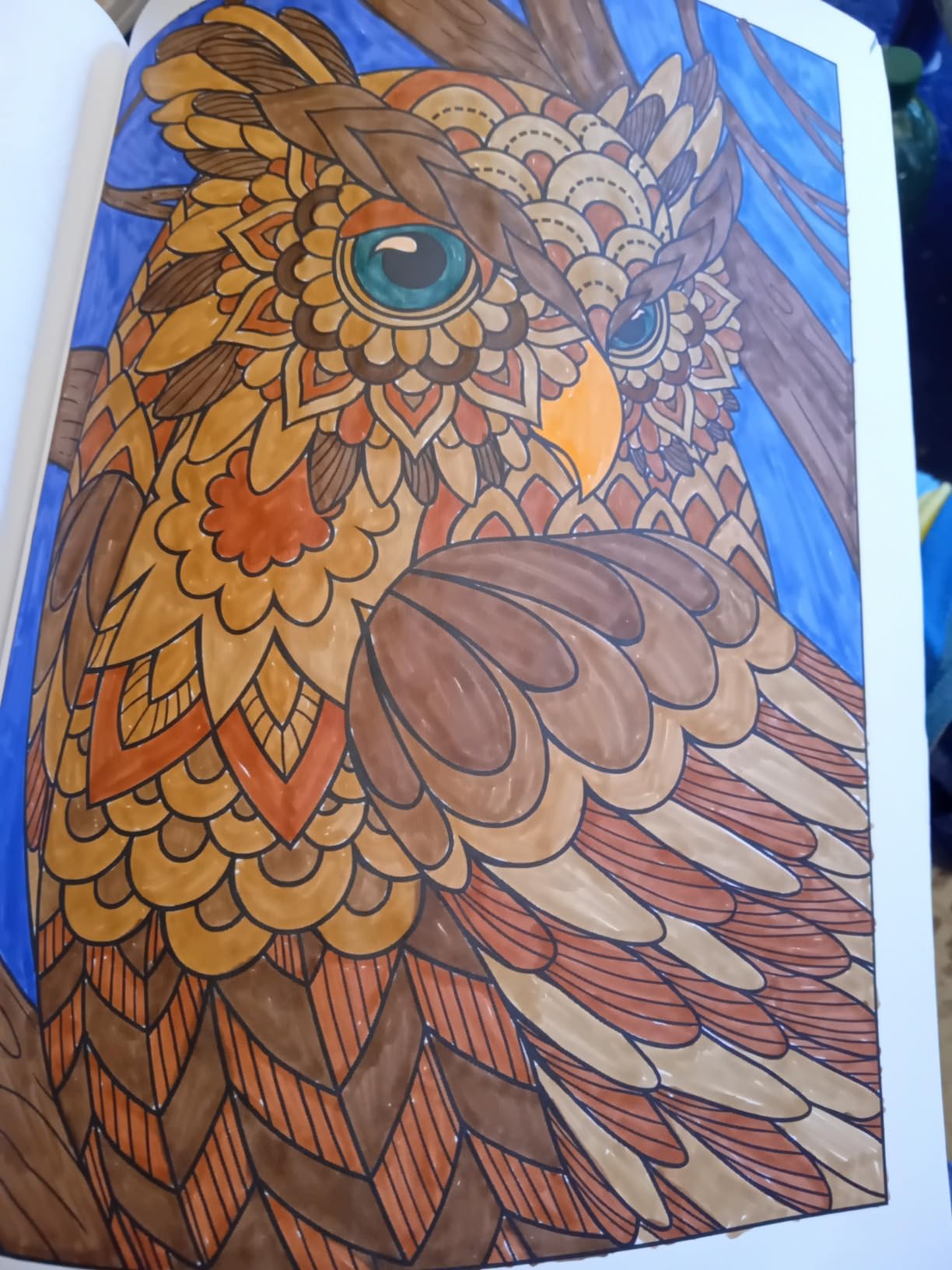 Gute Farben, robuste Spitze